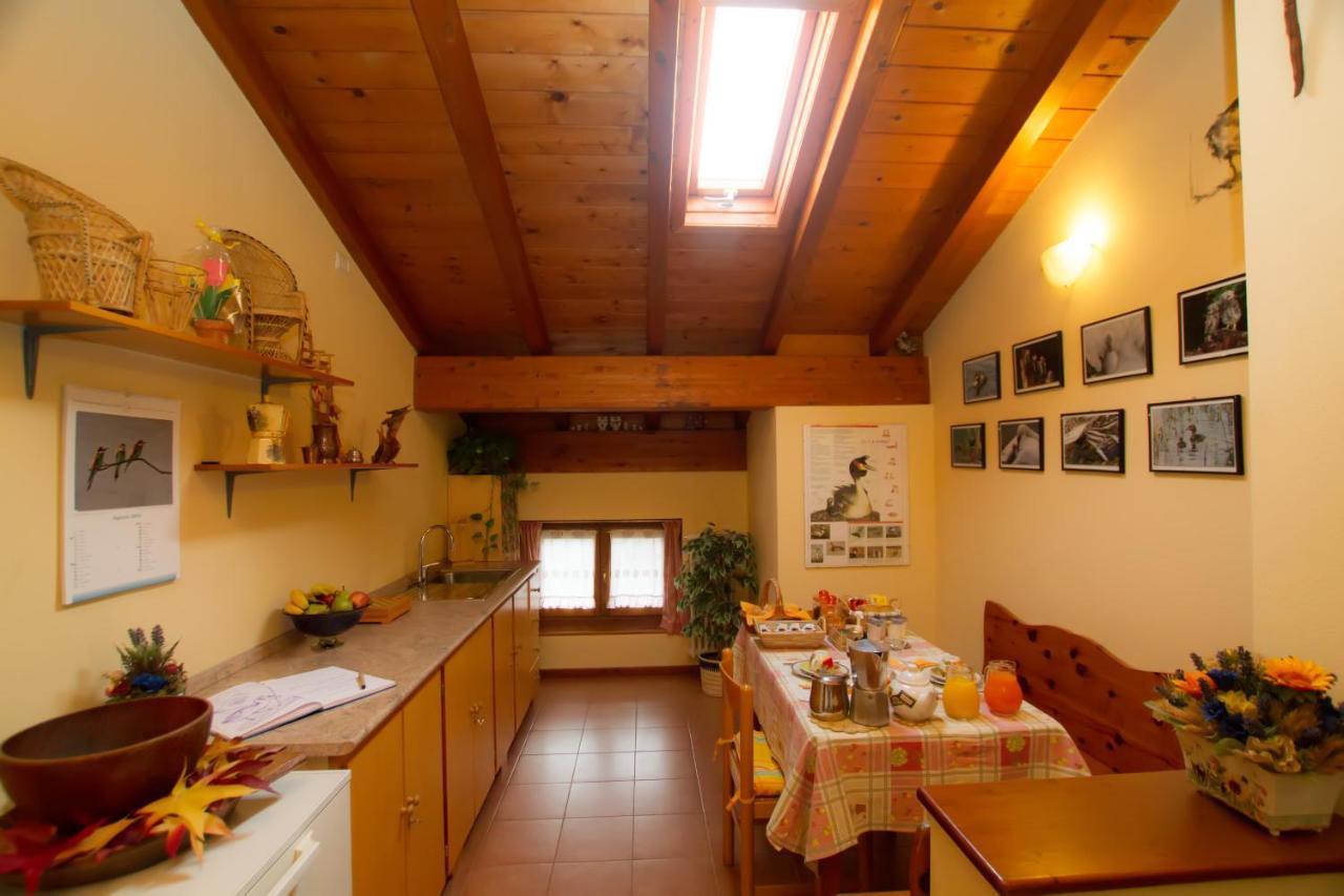 Guest House Il Nido Dello Svasso -Foresteria Lombarda- Sorico Kültér fotó